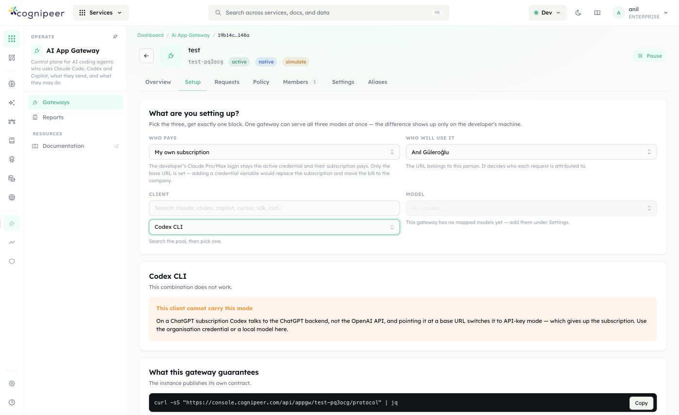 Setup tab — Codex CLI rejecting "My own subscription"