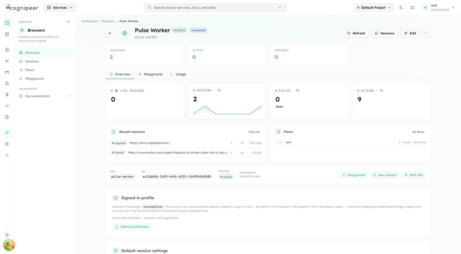 Browser overview: activity, flows, profile and session defaults