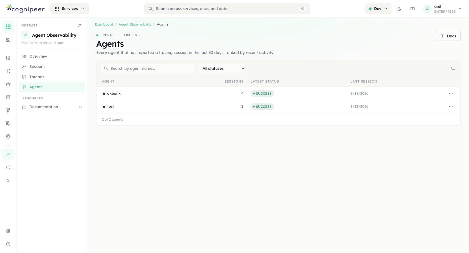 Per-agent overview